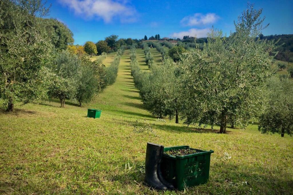 La Casina Della Quercia, Your Tuscan Oak Tree House Osteria Delle Noci Extérieur photo